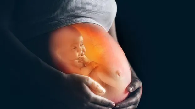 Embarazotripa-kLJB--620x349@abc